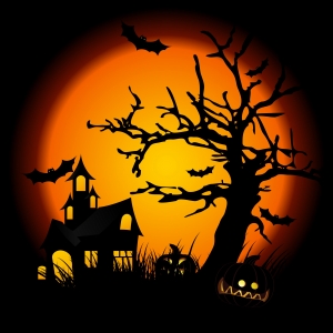 1306743_halloween_night.jpg