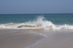 1369457_ocean_wave.jpg