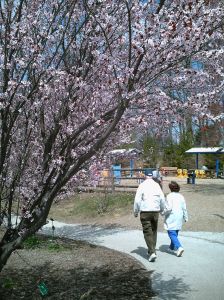 502438_spring_walk.jpg