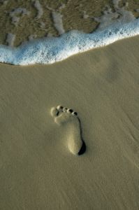 footprintinthesand.jpg