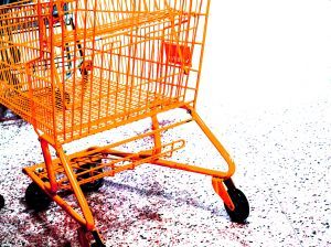 shoppingcart1.jpg