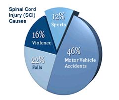 spinal%20cord.JPG