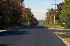 bushroad